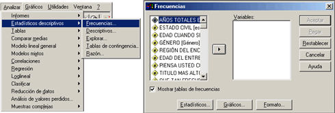 Procedimiento Frecuencias en SPSS