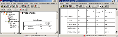 Compracion de los visores de Resultados de SPSS - Visor de Borrador y Visor de Resultados