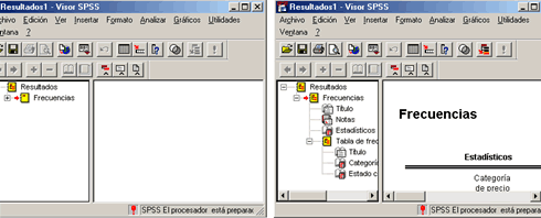 Visualizador de Resultados de SPSS