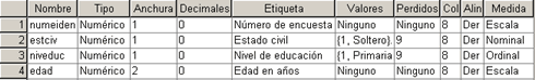 Variables del Archivo Totalmente definidas - Ejemplo Crear Archivos de Datos en SPSS