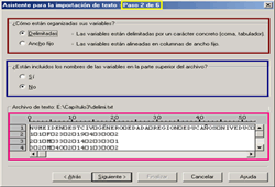Paso 2 para importar archivos de texto Delimitados