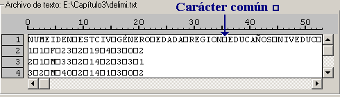 Caracter comun en el Visor de Datos del Asistente de importacion de archivos de Texto de SPSS