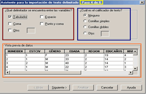 Paso 4 - Importar archivos planos delimitados a SPSS