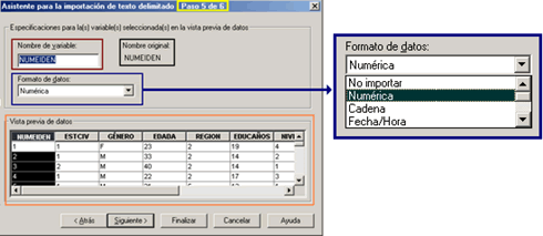 Paso 5 - Definiendo el formato de los datos - Importar archivos planos delimitados a SPSS