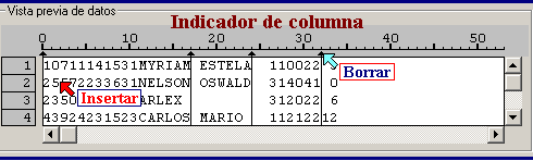 Vista previa de datos: Forma de agregar o eliminar una linea de corte - Importar archivos de texto de Ancho Fijo