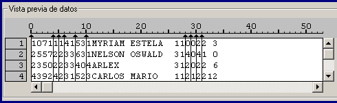 Vista precia de las variables en el Asistente de importacion de datos de Texto de Ancho Fijo de SPSS