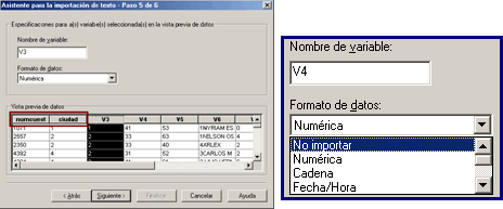 Paso 5: Definiendo variables que no deseamos importar - Importar Datos de archivos de Texto de Ancho Fijo en SPSS