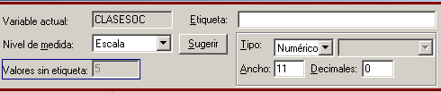 Seccion para definir el nivel de medida, la Etiqueta, el Tipo, Anchura y Decimales de las Variables - Procedimiento Definir Propiedades de las Variables de SPSS en Español