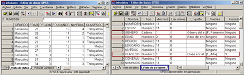 Resultado del Procedimiento Definir Propiedades de las Variables de SPSS en Español