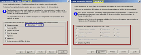 Pasos 3 y 4: Definir las propiedades que seran copiadas - Copiar propiedades de Datos de SPSS en Español