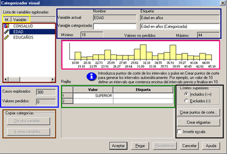 Ventana principal del Categorizador Visual de SPSS