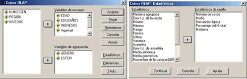 Definir las variables para el nuevo Cubo OLAP - Definir Estadisticos para el Cubo OLAP de SPSS