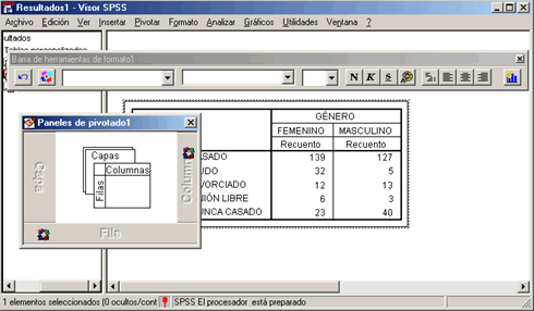 Editor de tablas pivote de SPSS - Componentes del Editor de Tablas pivote