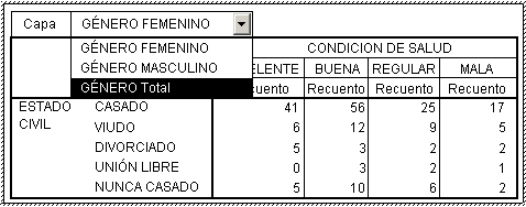 Seleccionar el total de la variable de capa