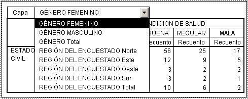 Resultados de la apilacion de variables en la dimension CAPAS - Apilar variables en las CAPAS de las tablas personalizadas de SPSS